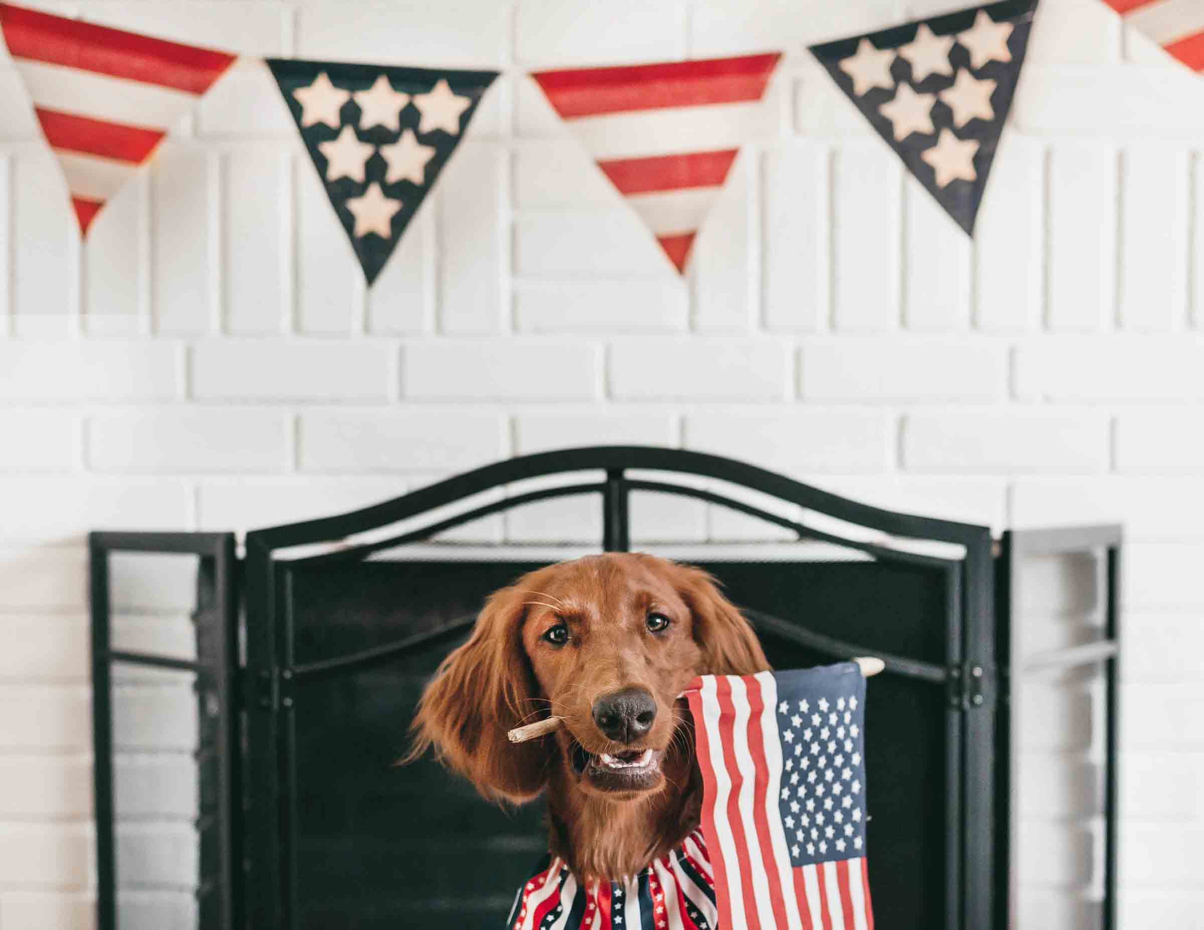July 4th Safety Tips for NY Homeowners
